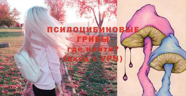 PSILOCYBIN Мегион
