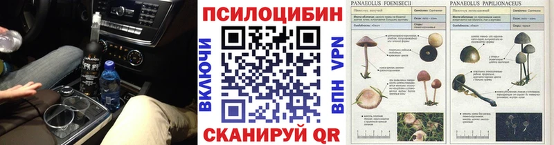 Купить где  Киселёвск  Псилоцибиновые грибы ЛСД 