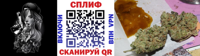 Бошки Шишки MAZAR  Купить закладки  Киселёвск 